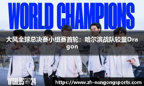 ng28官网